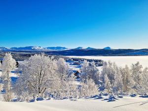 an aerial view of a snowy field with trees and mountains at 6 person holiday home in Nordli-By Traum in Holand