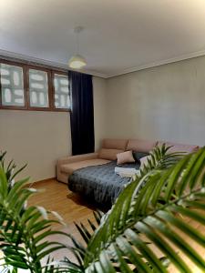 a living room with a bed and a couch at Cómodo apartamento a un paso del centro de Salamanca La Posada Charra 6 APART-37-278 in Salamanca