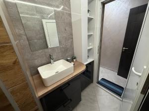 een badkamer met een wastafel en een spiegel bij Alex Family Apartment in Vidin