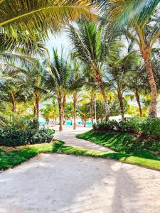 un grupo de palmeras en una playa en Margarita 102 Private Beach Access Aqua Esmeralda Dominicus, en La Laguna