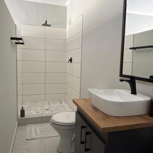 a bathroom with a sink and a toilet and a shower at Cozy NooK Mariental in Mariental