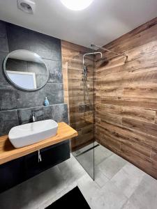 a bathroom with a sink and a shower at Meadows Terraced Houses in Loučná pod Klínovcem