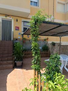 a pergola with plants growing on it in a courtyard at Casa EL CASTILLO ,a 5 kilómetros de la playa in Mazarrón