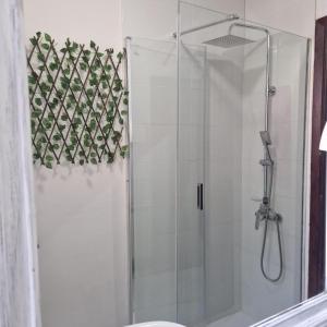 a shower with a glass door in a bathroom at Hostal Real in Vigo
