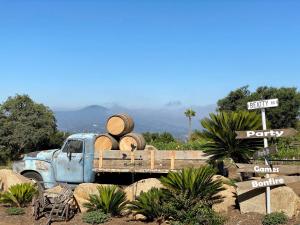 Příroda nedaleko prázdninového areálu + 10 fotografií