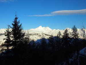 Φυσικό τοπίο κοντά σε αυτό το σαλέ