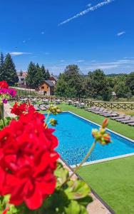 科帕奥尼克Kraljevi Cardaci Olja的一座游泳池,前面有红花