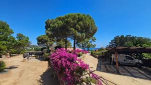 Fotografie z fotogalerie ubytování Mirto v destinaci Porto Taverna
