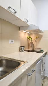 a kitchen with a sink and a counter top at Stan na dan Centar Čačak in Čačak +11 photos