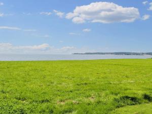 Årøsund8 person holiday home in Haderslev-By Traum的一片绿草地和一大片水域