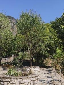 a stone path with a tree in a garden at House by the River in Konitsa +3 photos