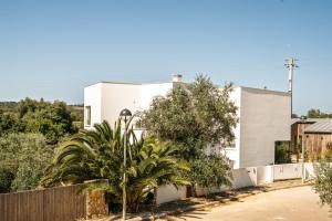 una casa bianca con una recinzione e una palma di The Hideway, Peaceful Energy & Modern Comfort! a Santo Isidoro