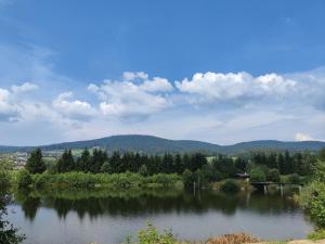a view of a lake with trees and mountains at Campingplatz Pfoser in Stollnberg