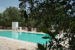 una piscina en un patio con árboles en Fikus - the Apulian B&B, en Ceglie Messapica