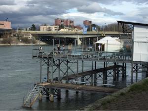 Galeriebild der Unterkunft Rhein Promenade in Basel