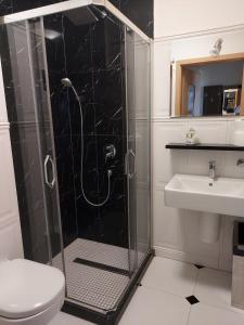 Un baño con ducha, inodoro y lavabo. en Gminny Ośrodek Sportu i Rekreacji w Zakrzowie, en Zakrzów