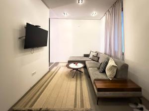 a living room with a couch and a tv at City Center Apartment in Belgrade +4 photos