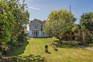 two dogs sitting in the grass in front of a house at Avalon in Nottage