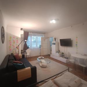 Una sala de estar con un sofá y un televisor. en Budapest A+ Apartment, en Budapest