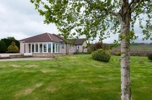 ein Haus mit einem grünen Garten mit einem Baum in der Unterkunft Balass Lodge near The Old Course St Andrews in Fife