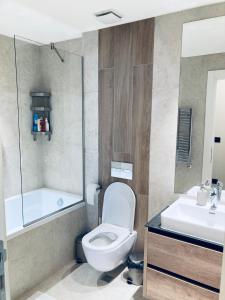 a bathroom with a toilet and a tub and a sink at Belgrade Waterfront Kalemegdan and River View with Garage in Belgrade