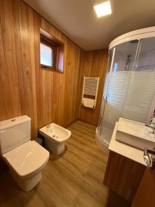 une salle de bain avec toilettes, lavabo et douche dans l'établissement Departamento 3 ambientes, modernoso, cálido y a media cuadra de la calle principal. 2 PAX (V420), à San Martín de los Andes 17 autres photos