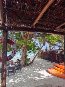 a group of surfboards sitting on a beach with a tree at Hotel xahuayxol in Mahahual