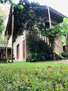 a house with vines growing on the side of it at CASA MEDNA in Trancoso
