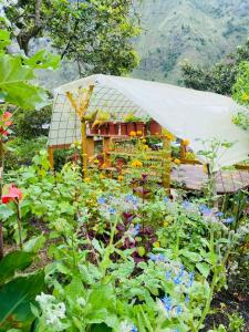 a garden with flowers in front of a house at Gemma Eco-Glamping in Baños +12 photos