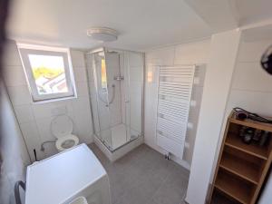 a bathroom with a shower and a toilet and a window at Make Yourself At Home in Vaihingen an der Enz