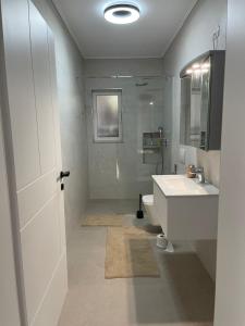 ein weißes Badezimmer mit Waschbecken und Toilette in der Unterkunft City & Canyon - Modern Comfort in Çorovodë