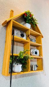 a wooden shelf with two cameras and potted plants at Saborrrr Container - BOX 360 - Sobrado Alvenaria in Uberlândia