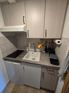 a small kitchen with a sink and a counter at M&D ISKA Vermietung w4 in Heide