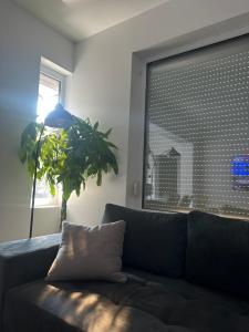 Gallery image of Best places in Petrich