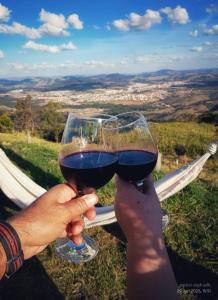 Afbeelding uit fotogalerij van Fazenda Morro Alto Alegre in Jacutinga