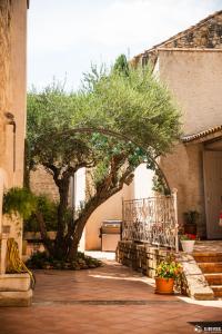 ein Baum vor einem Gebäude mit einer Bank in der Unterkunft Le Patio Olea in Montfrin