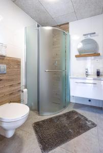 a bathroom with a shower and a toilet at Domki Bursztynowy Resort in Jarosławiec
