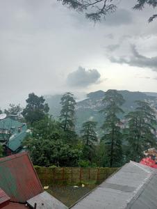 a view of a mountain with trees and a city at relax in Shimla