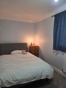 a bedroom with a bed and a blue curtain at Colchester chill x1 in Hythe