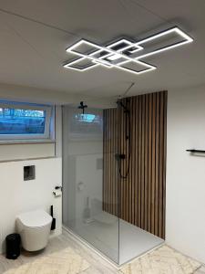 a bathroom with a shower and a toilet in it at Ferienwohnung Souterrain im stielvollen Landhaus bei Hamburg in Rosengarten