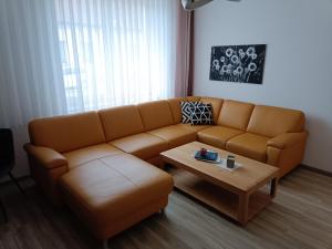 a living room with a couch and a coffee table at Nationalpark Apartment 1 in Apetlon