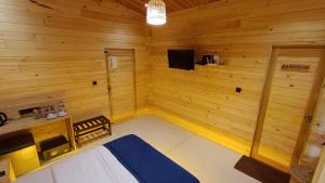 TV a/nebo společenská místnost v ubytování Wood Chalets Ella