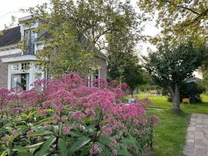 a garden with pink flowers in front of a house at Kleine Huisje in Ruinerwold