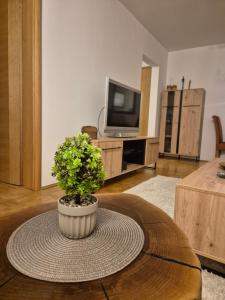 a living room with a potted plant on a table at N-Condo in Sarajevo in Sarajevo