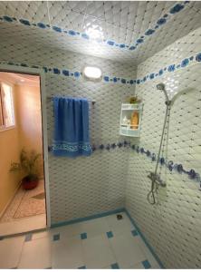a bathroom with a shower with a blue towel at hostel SmiGle in Tamraght Oufella
