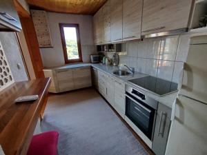 a kitchen with a sink and a stove top oven at Sarajevo Green Garden in Raskršće