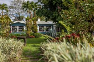 AQUIARES COFFEE FARM CASA HACIENDA LA ESPERANZA في توريالبا: بيت ازرق وسط حديقه