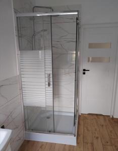 a glass shower in a bathroom with a sink at Kawalerka in Chojna