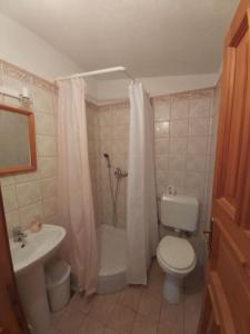 ein Badezimmer mit Toilette, Dusche und Waschbecken in der Unterkunft Apartment Boto - 20m from the sea in Smergo