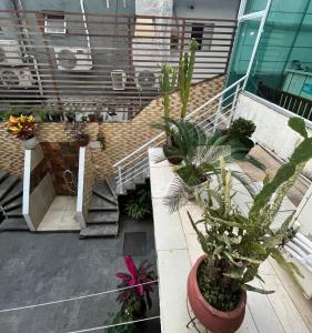 a patio with a bunch of plants on a building at Pousada Ohana Guarujá in Guarujá